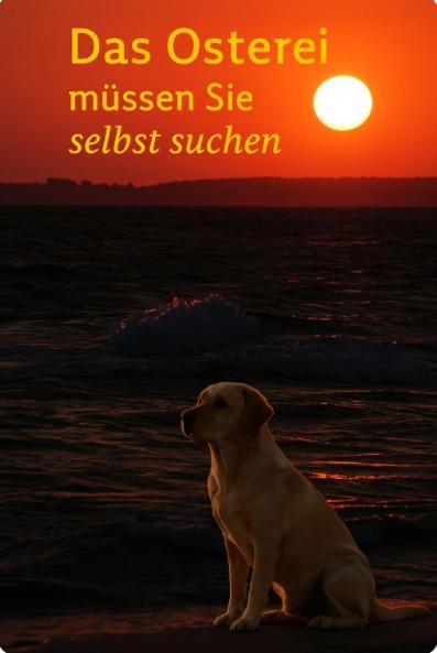 Fewo Ostseele - Tosi Timmendorfer Strand Exterior foto